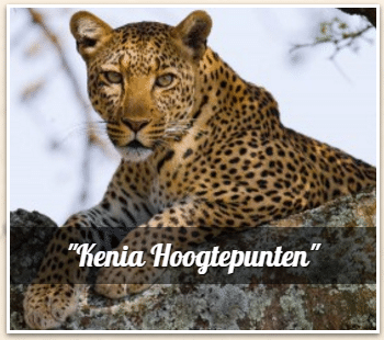 Avtours - Safari Kenia